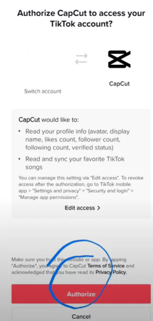 Authorize Capcut Login