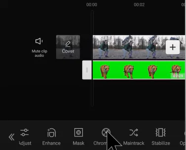 Selecting the chroma key option