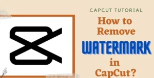 Capcut tutorial to remove watermark