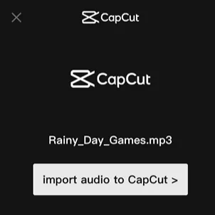 Importing audio to Capcut