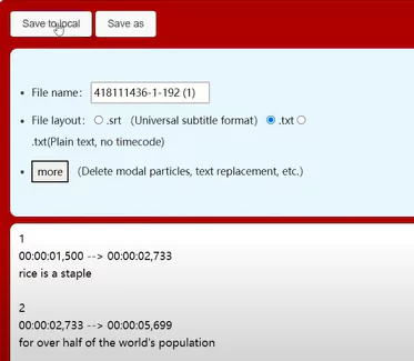 Save the file as SRT