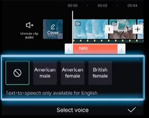 Text to speech voice options