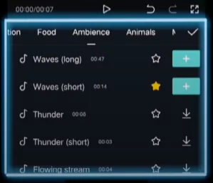 Variety of voice effect options