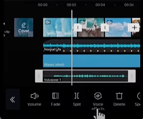 Voice effects on the video