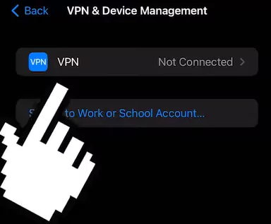 VPN option