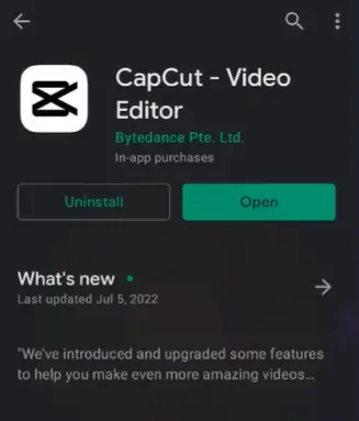 Update Capcut app