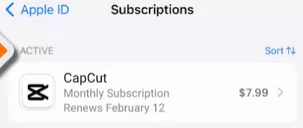 CapCut Subscription