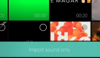 Import sound only