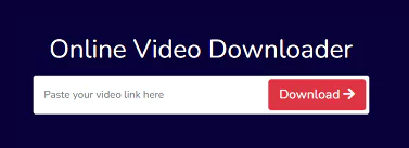 Online video downloader