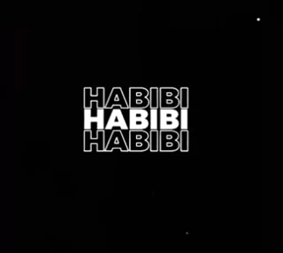 habibi template 6480dd79d6ace