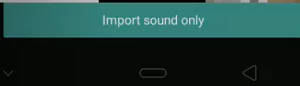 import sound only option 6491cd69e8366