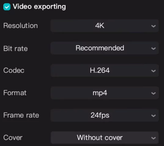 Video exporting options