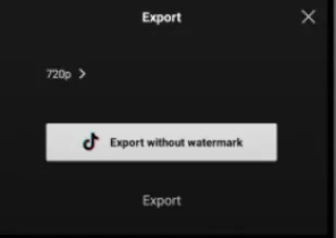 Export without watermark