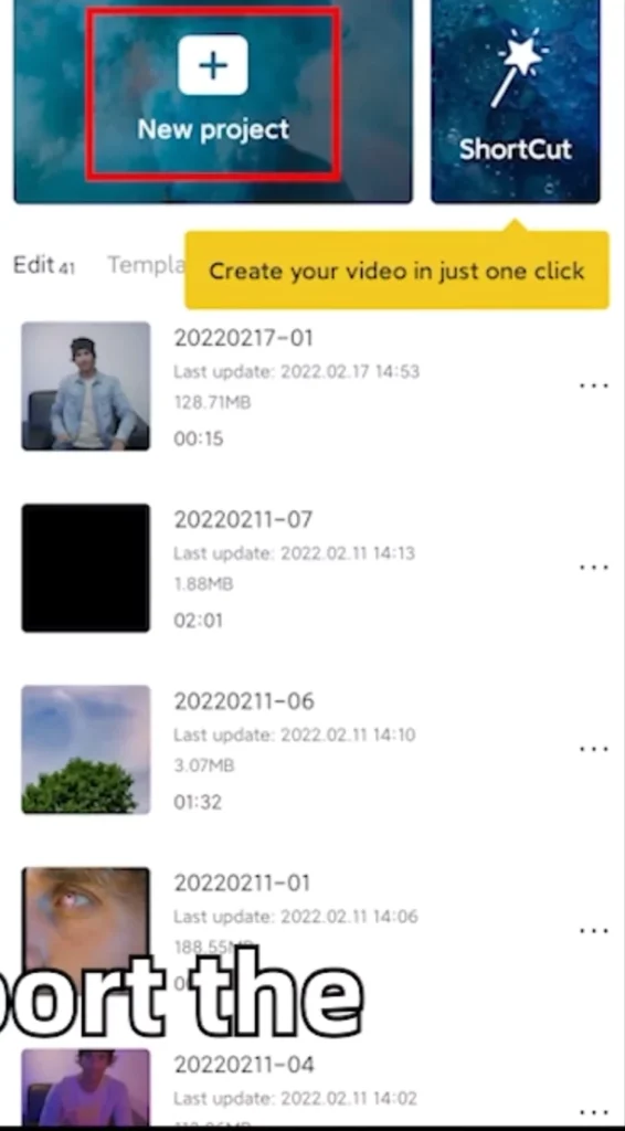How to Create Spiderweb Dress-Up Videos like TikTok Pros 3 Open capcut and new project
