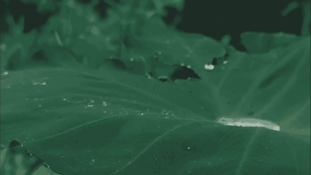 Smooth Slow Motion Effect - CapCut's Game-Changing Feature 9 Enhancing the video
