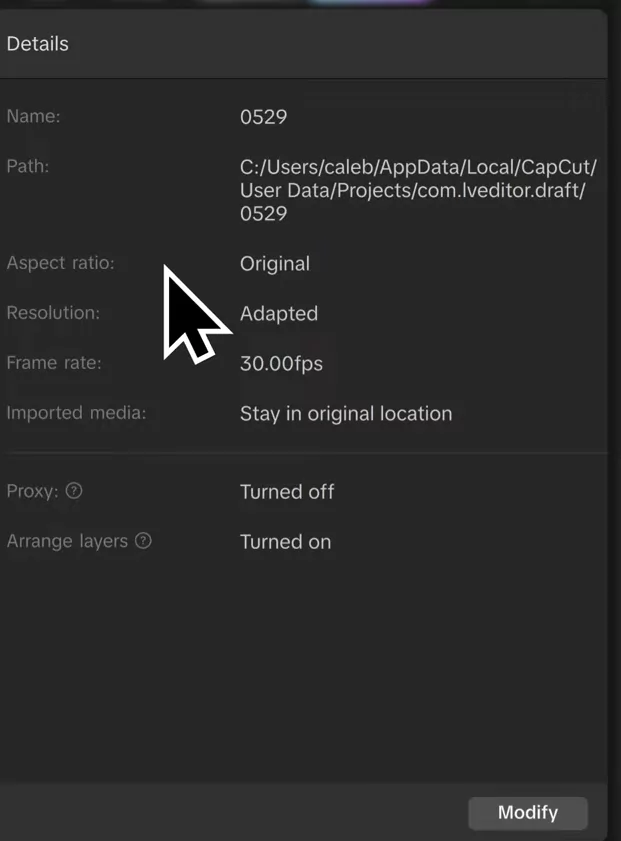 CapCut Masterclass: The Complete Beginner-to-Pro Video Editing Guide (2025) 4 Detail panel