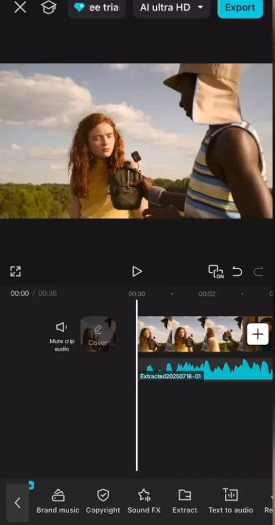 Audio added to clip
