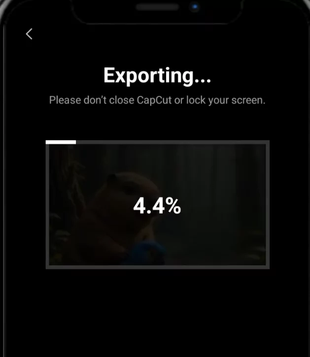 Exporting 4K videos