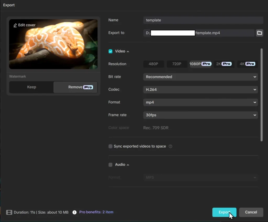 Exporting the video
