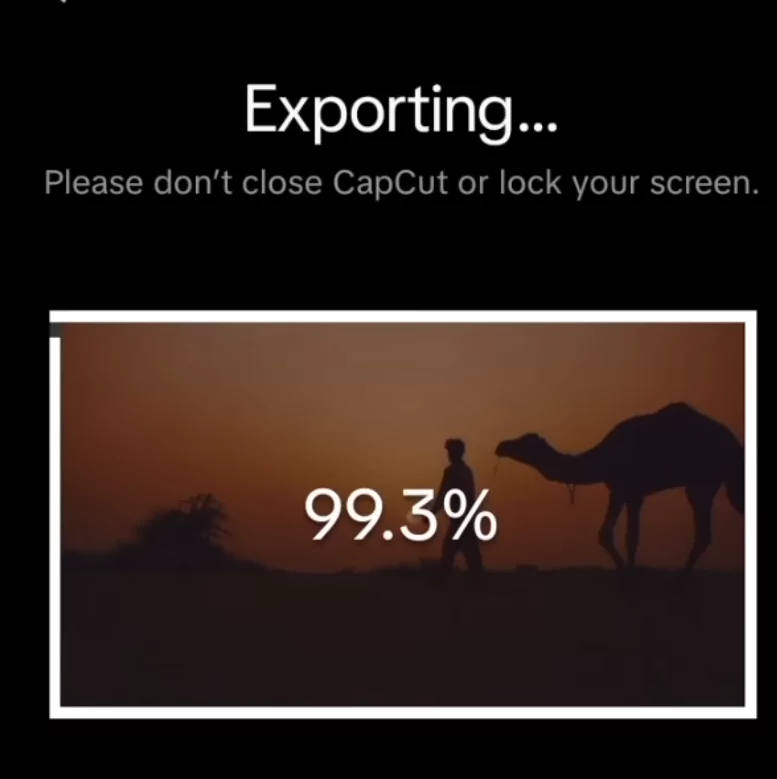 Exporting the video