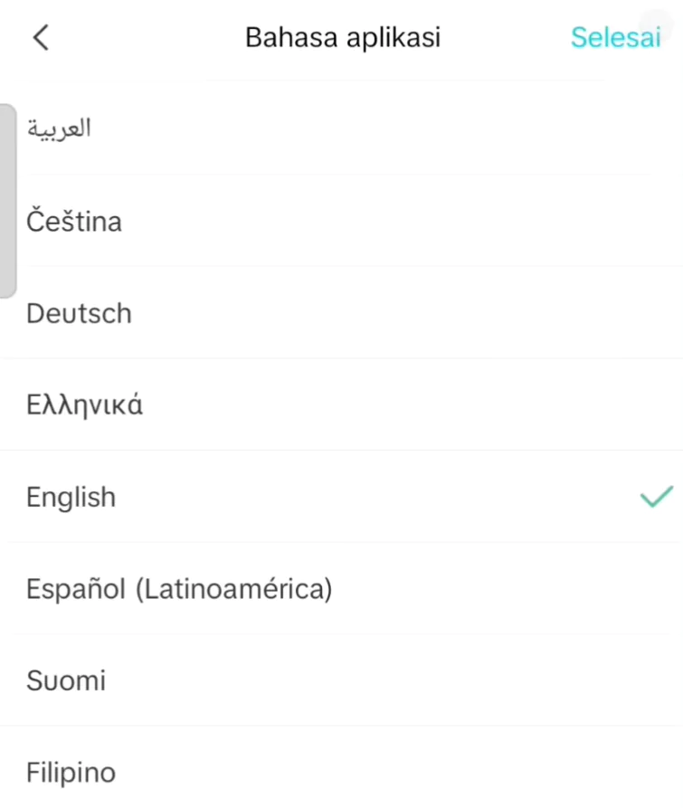Switch language to english
