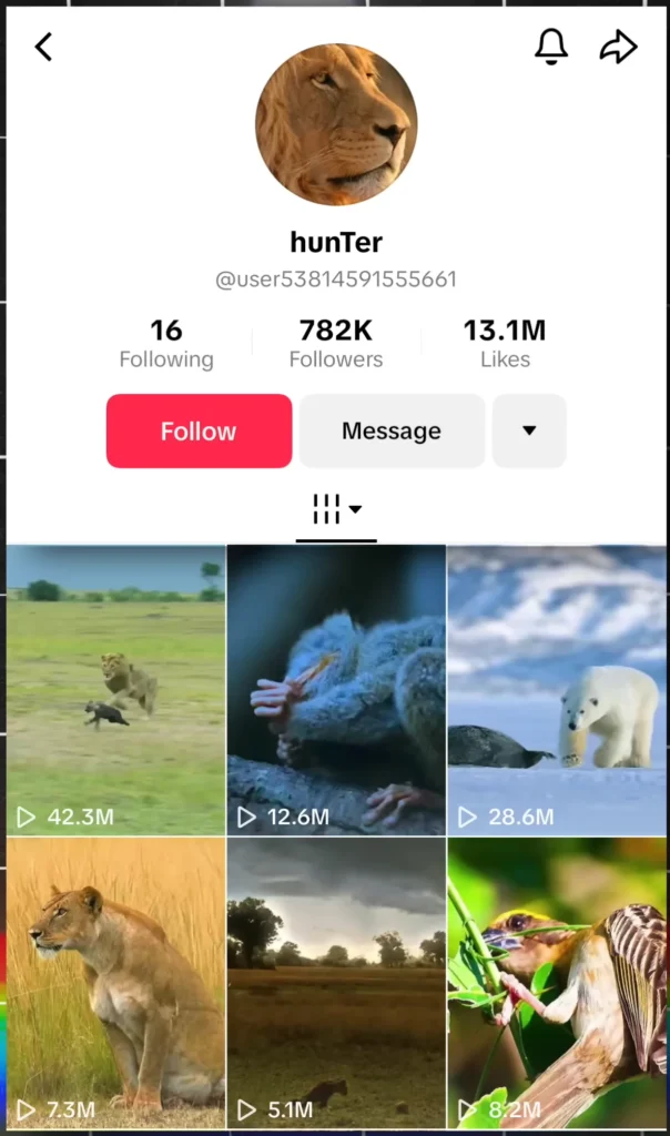 Get thousands of followers with just AI videos