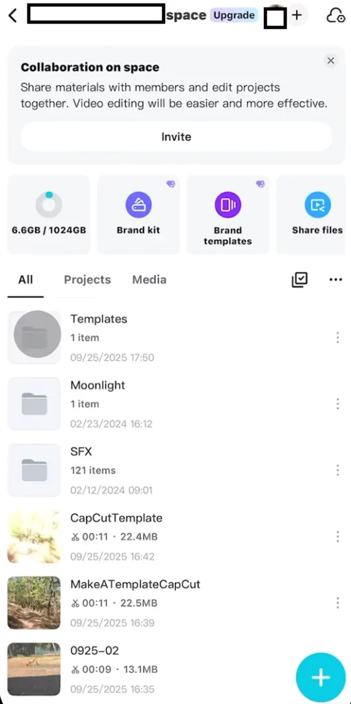 Clicking on templates option