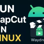 How to run CapCut on Linux