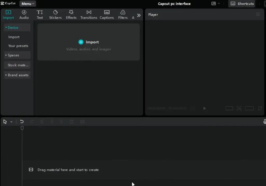 Preview window and project details tab