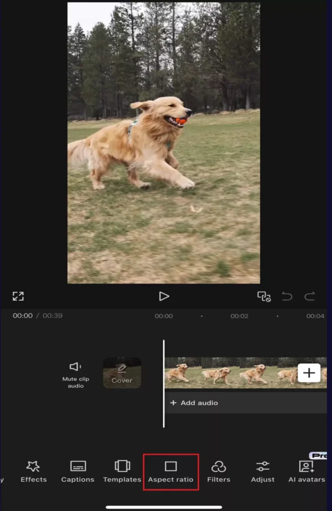 Aspect ratio option visible on the bottom of the screen