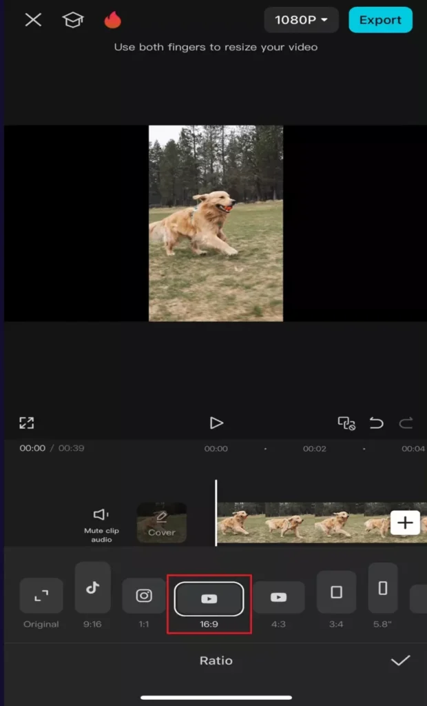 Changing the aspect ratios
