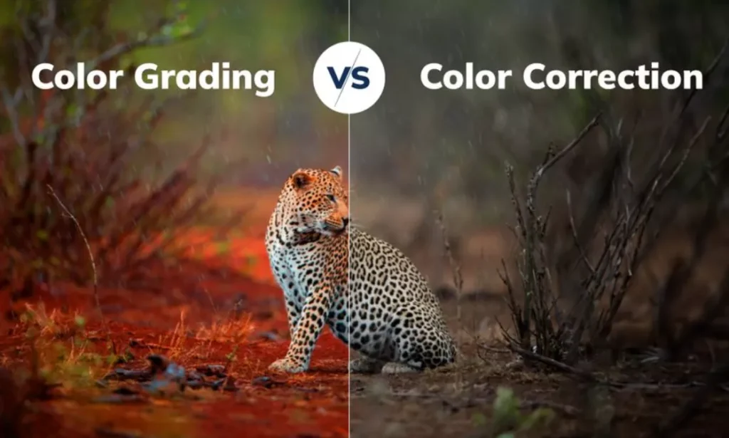 Color grading vs color correction