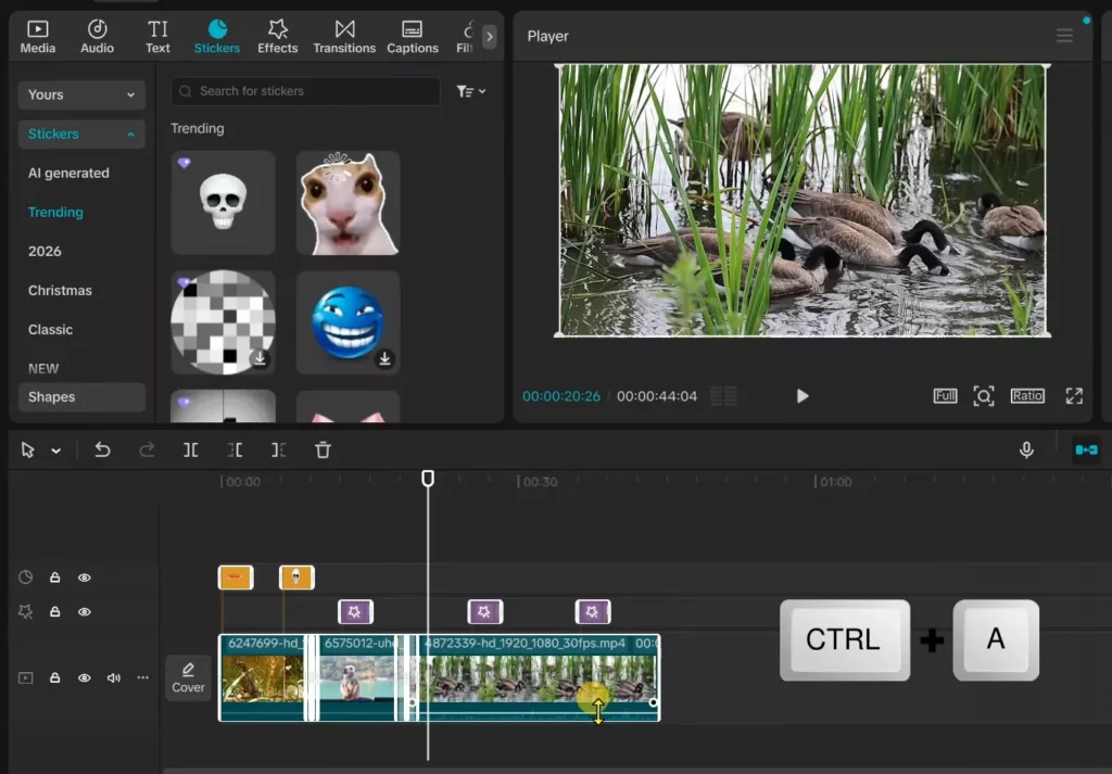 Ctrl + A to select the timeline