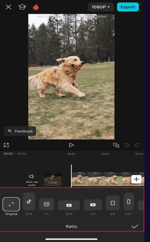 Choose your desired ratio from the various options available
