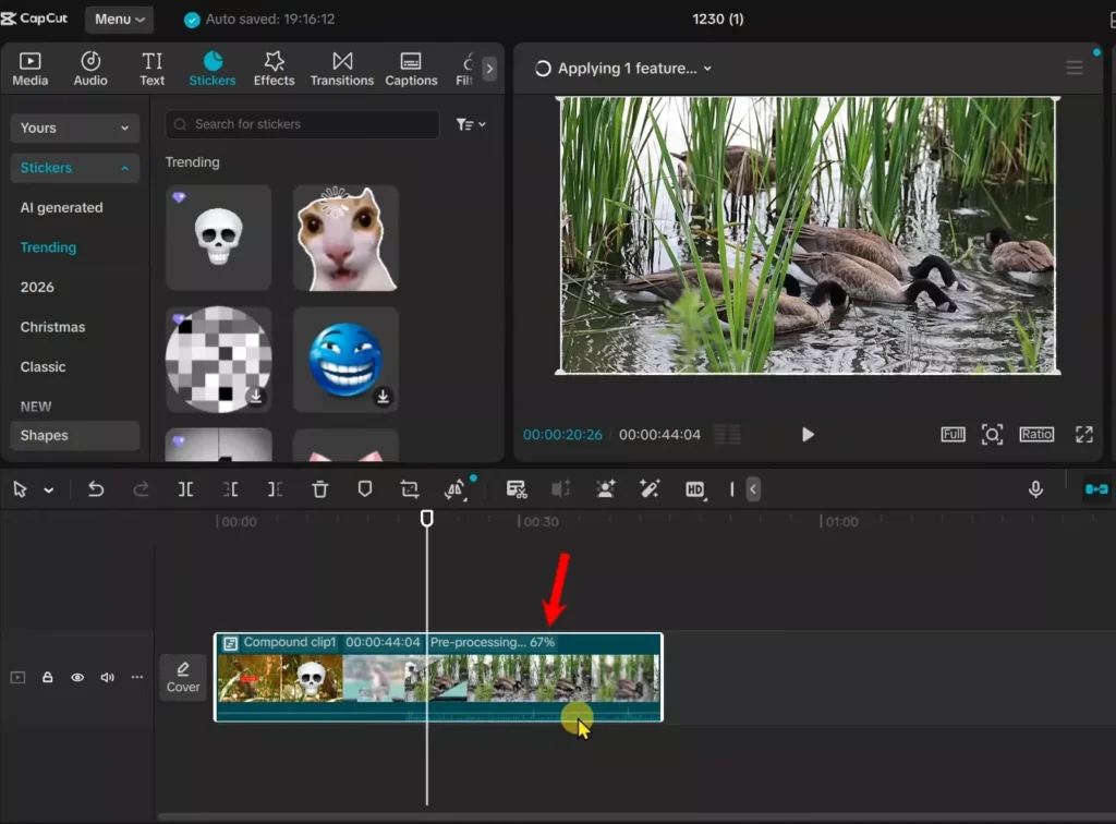 Pre-processing into cache folder