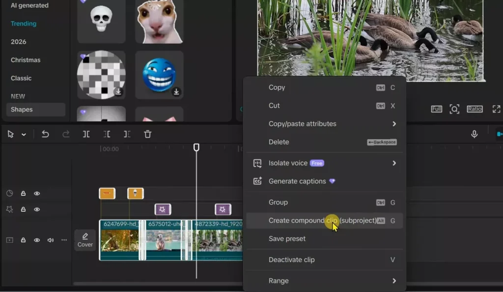 Right click and create compound clip