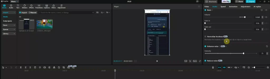 Screenshot of Features available in pro version