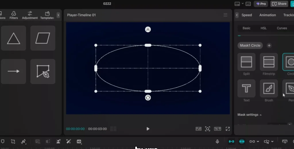 Add and adjust the circle mask