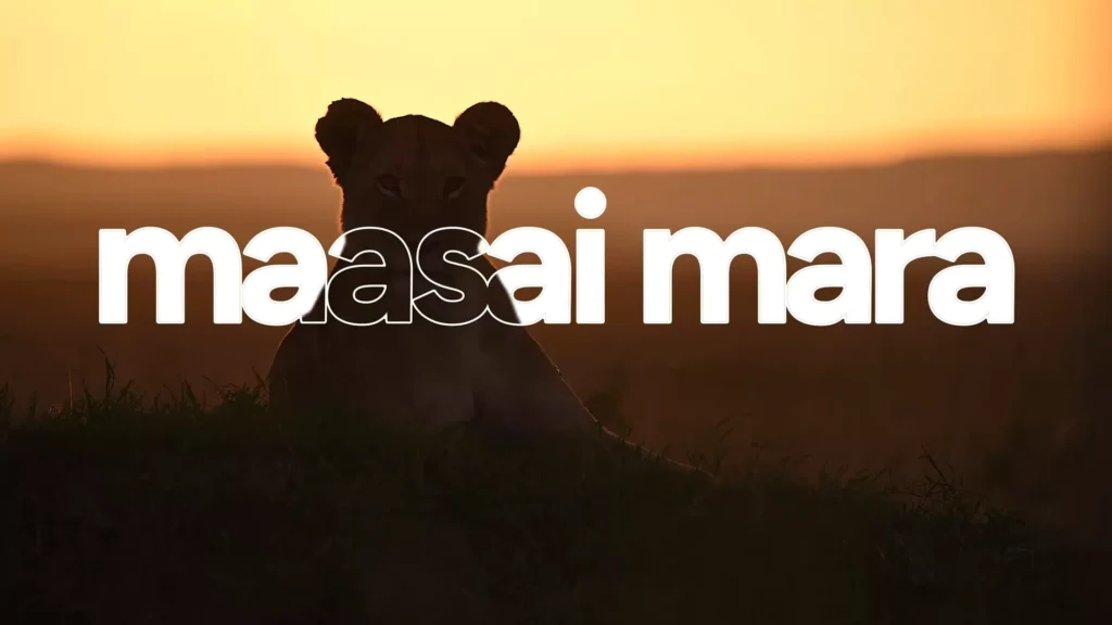 Premium text effects using CapCut