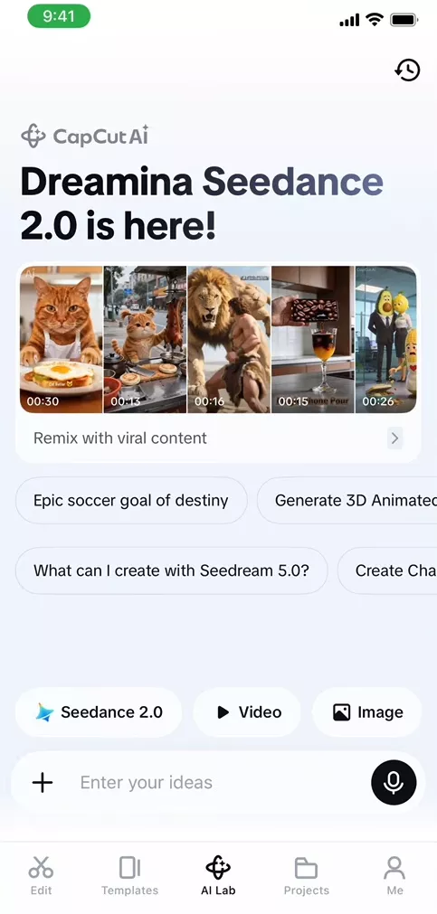 Seedance on CapCut mobile app