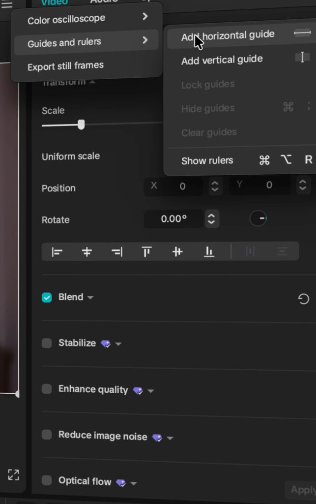 Using the guides and rulers feature