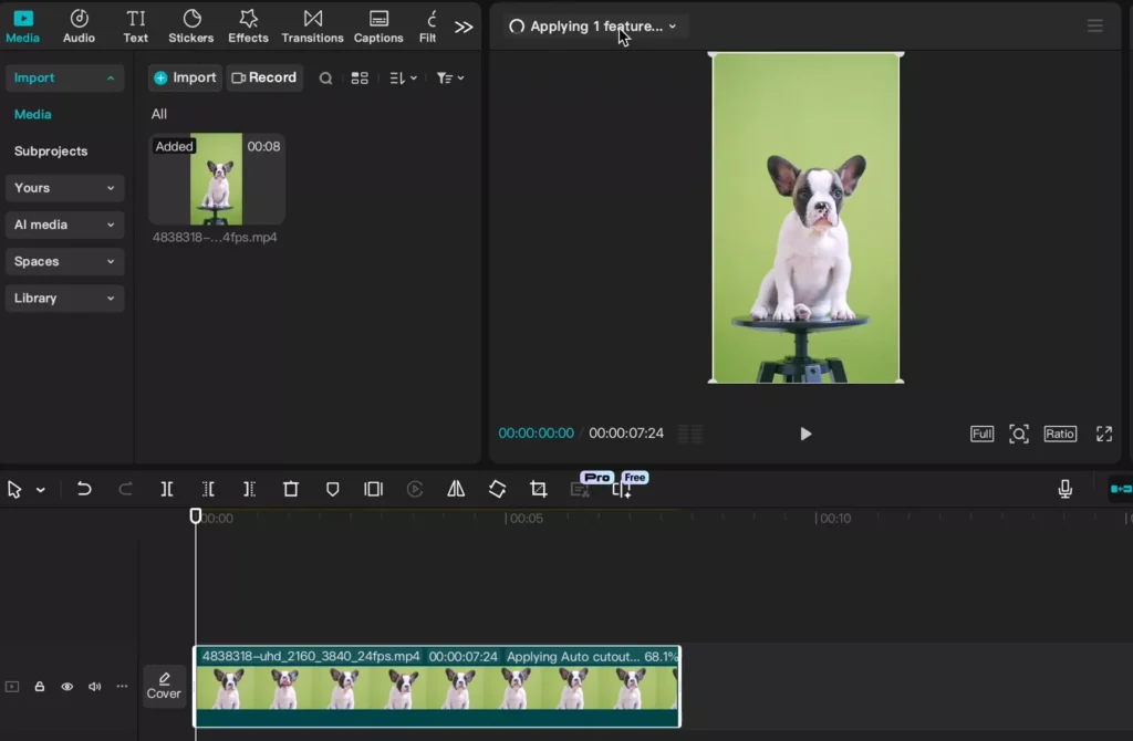 Import your video clip from which to remove background
